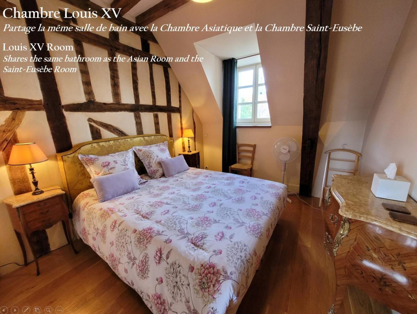 Saint-Eusebe Mansion - Hotel Particulier St-Eusebe Оксер Екстериор снимка
